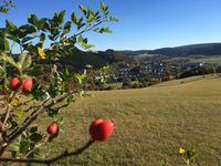 Blick auf Willingen