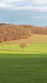 Landschaftsfoto